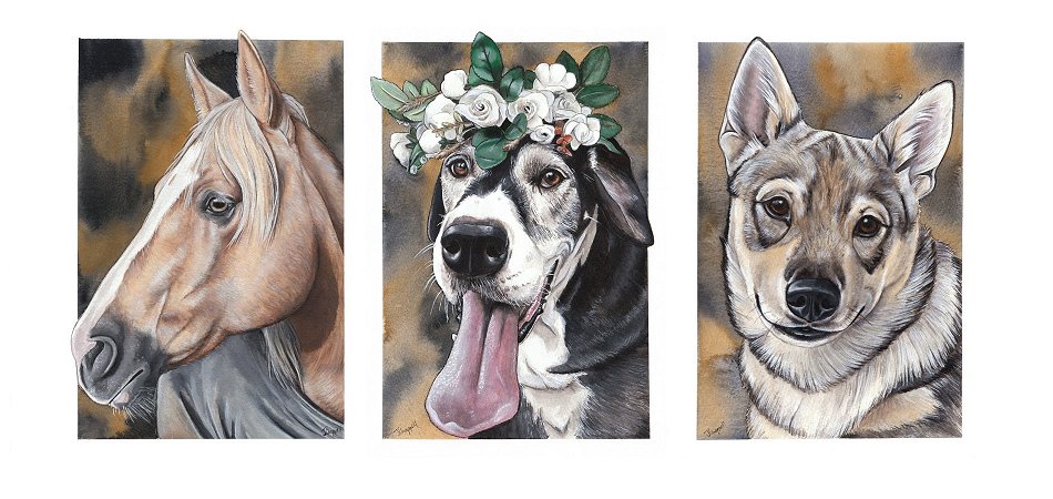 Custom pet portraits in watercolour & gouache