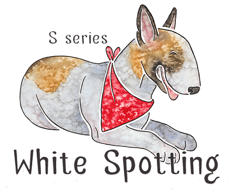 what do white dogs symbolize